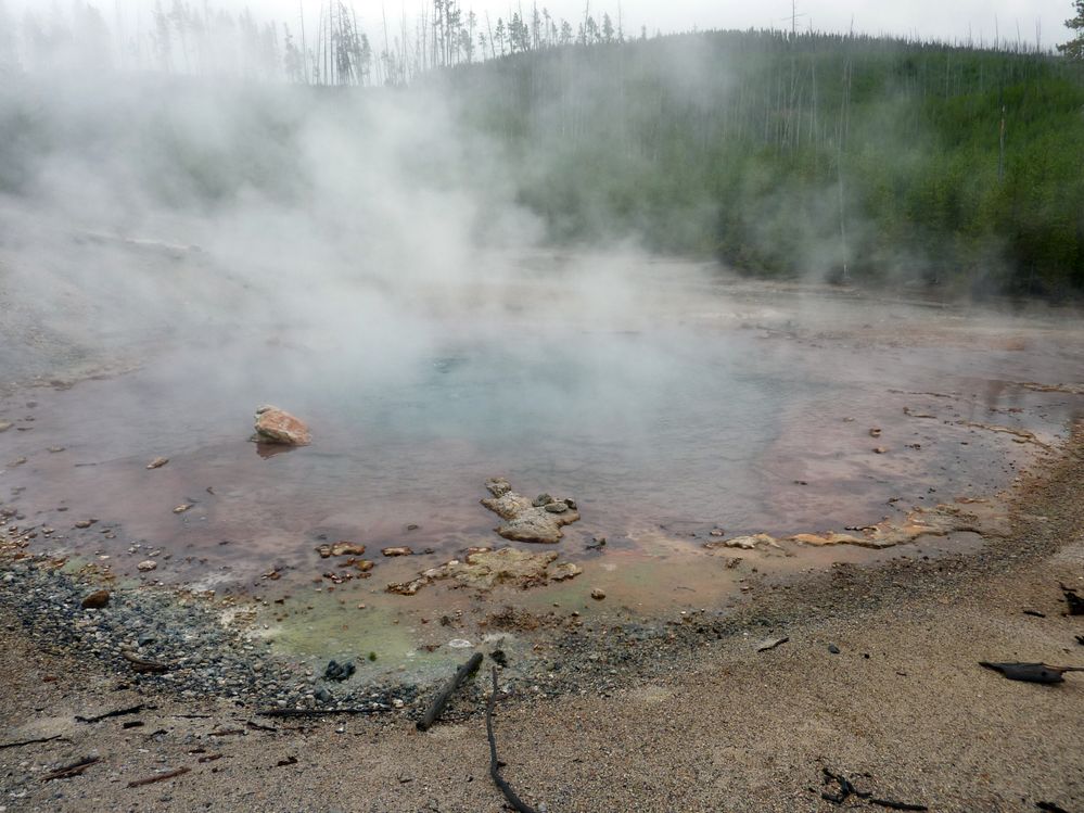 Yellowstone Norris Geyser (26).JPG